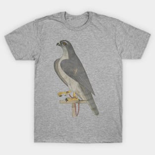 Retro Falcon T-Shirt